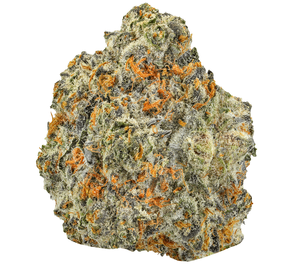 Girl-Scout-Cookies-Strain-min Girl Scout Cookies Strain