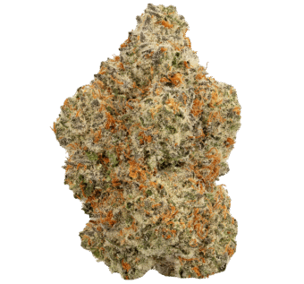 Grand Daddy Driver Strain