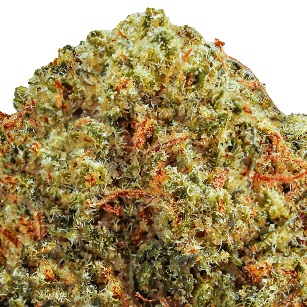 Molotov Cocktail Strain
