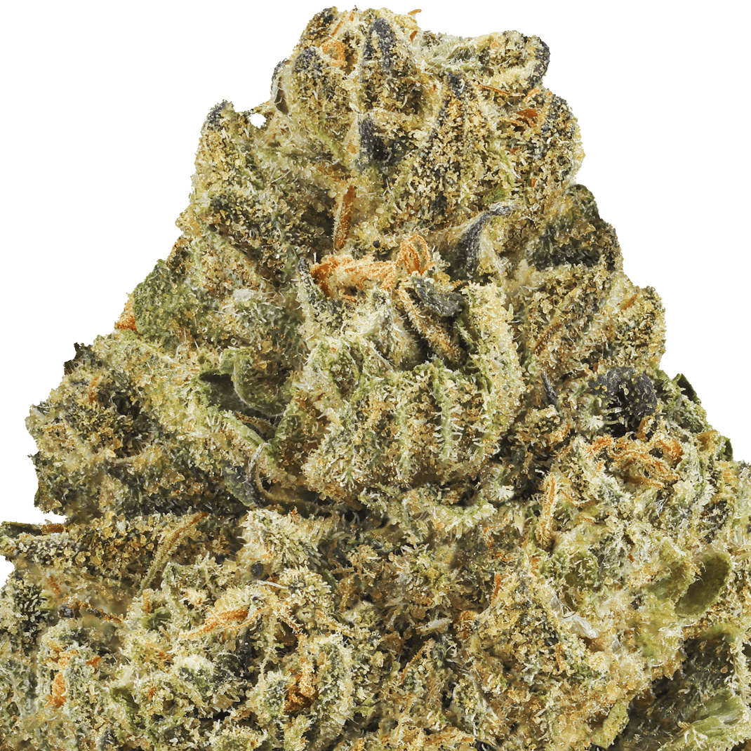 Papaya Berry Runtz Strain