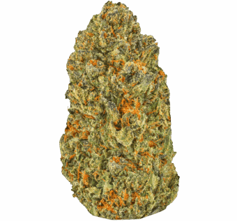 No Medical Card Needed! 5 Rainbow Zebra Strain min