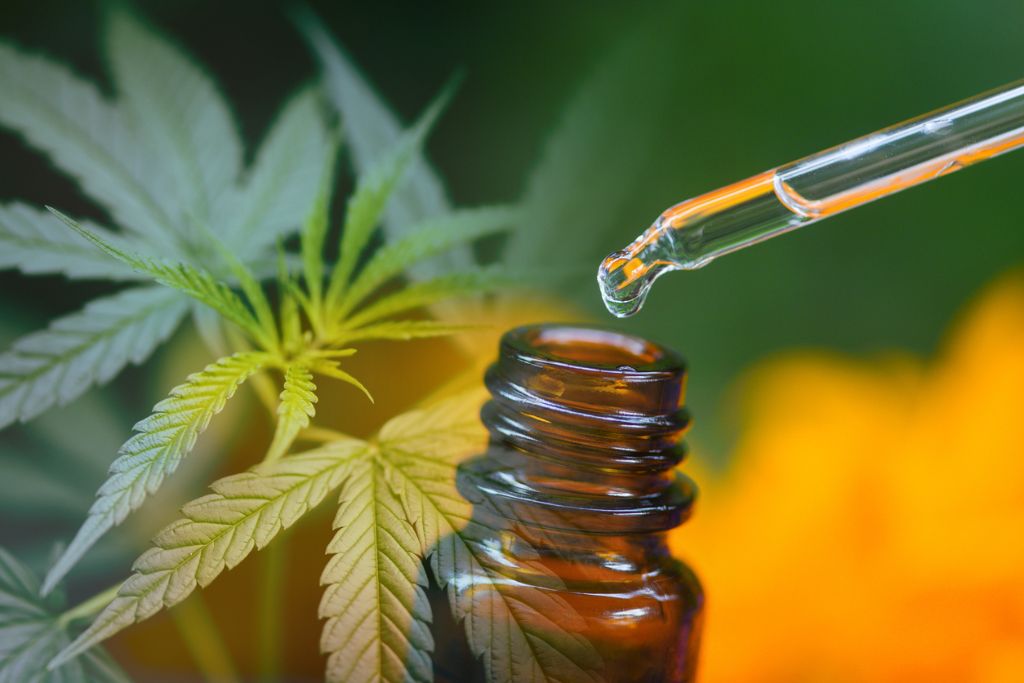 Trump’s CBD Endorsement Boosts Senior Interest in Natural Wellness