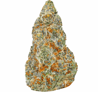 Shop By Effect 5 Cheetoz Strain min