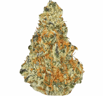 Shop By Effect 7 Golden Triangle Strain min