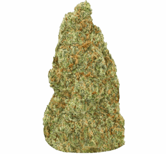 Kush Mintz Strain min