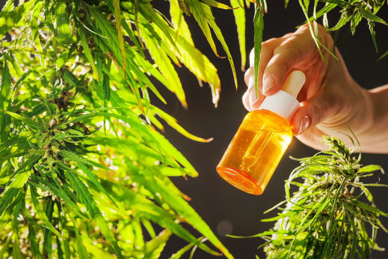 THCA vs Delta-9 THC: Understanding the Difference