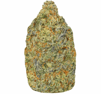 Papaya Punch Strain