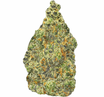 Homepage 2 Rainbow Chip Strain min