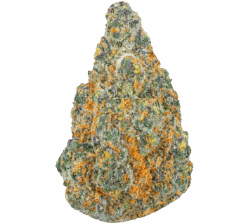 Homepage 4 Super Boof Strain min