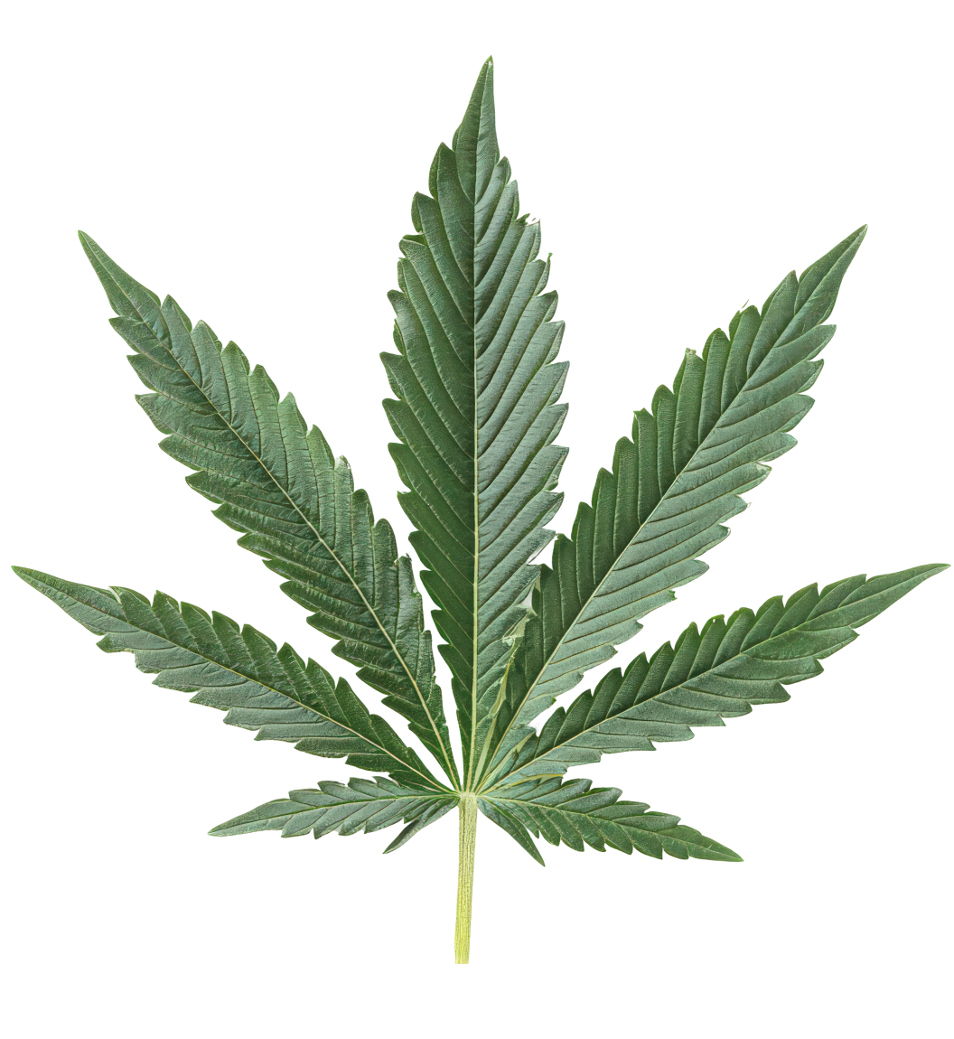 redeeming your hard earned points is easy