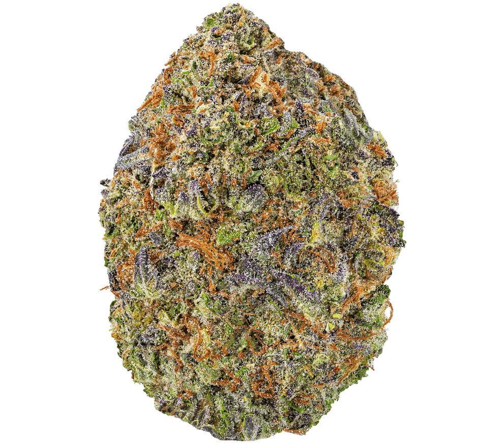Acapulco-Gold-Strain Acapulco Gold Strain