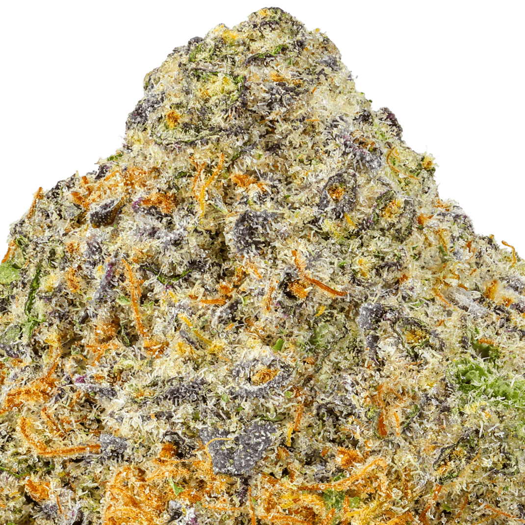 Black Cherry Gelato Strain