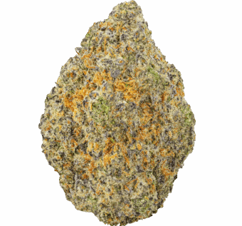 Shop By Effect 23 Black Cherry Gelato Strain