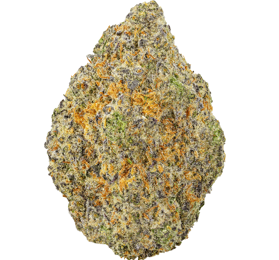 Black Cherry Gelato Strain