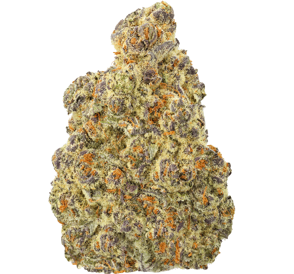 Black Truffle Strain