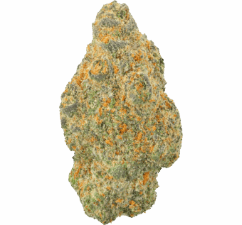 Shop By Effect 26 Blue Sherbinski Strain