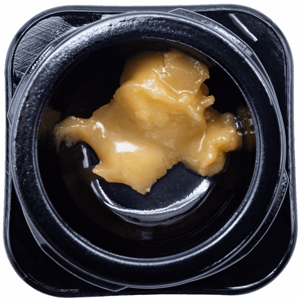 Blueberry Muffin THCA Live Rosin