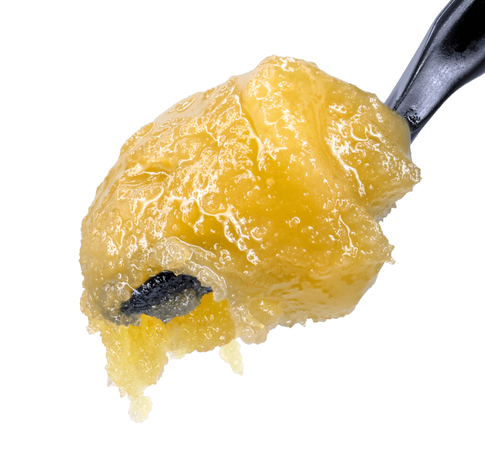 Blueberry-Muffin-THCA-Live-Rosin-min Blueberry Muffin THCA Live Rosin