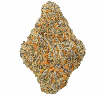 Shop By Effect 28 Chile Colombian Gold Strain min