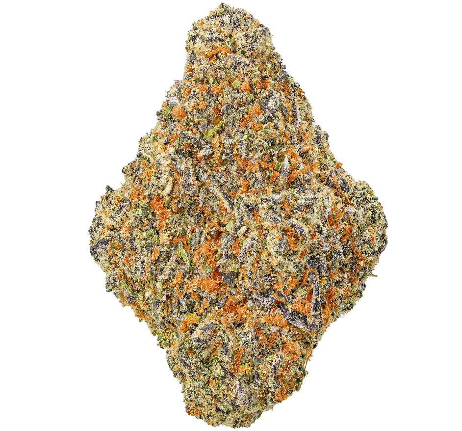 Chile Colombian Gold Strain