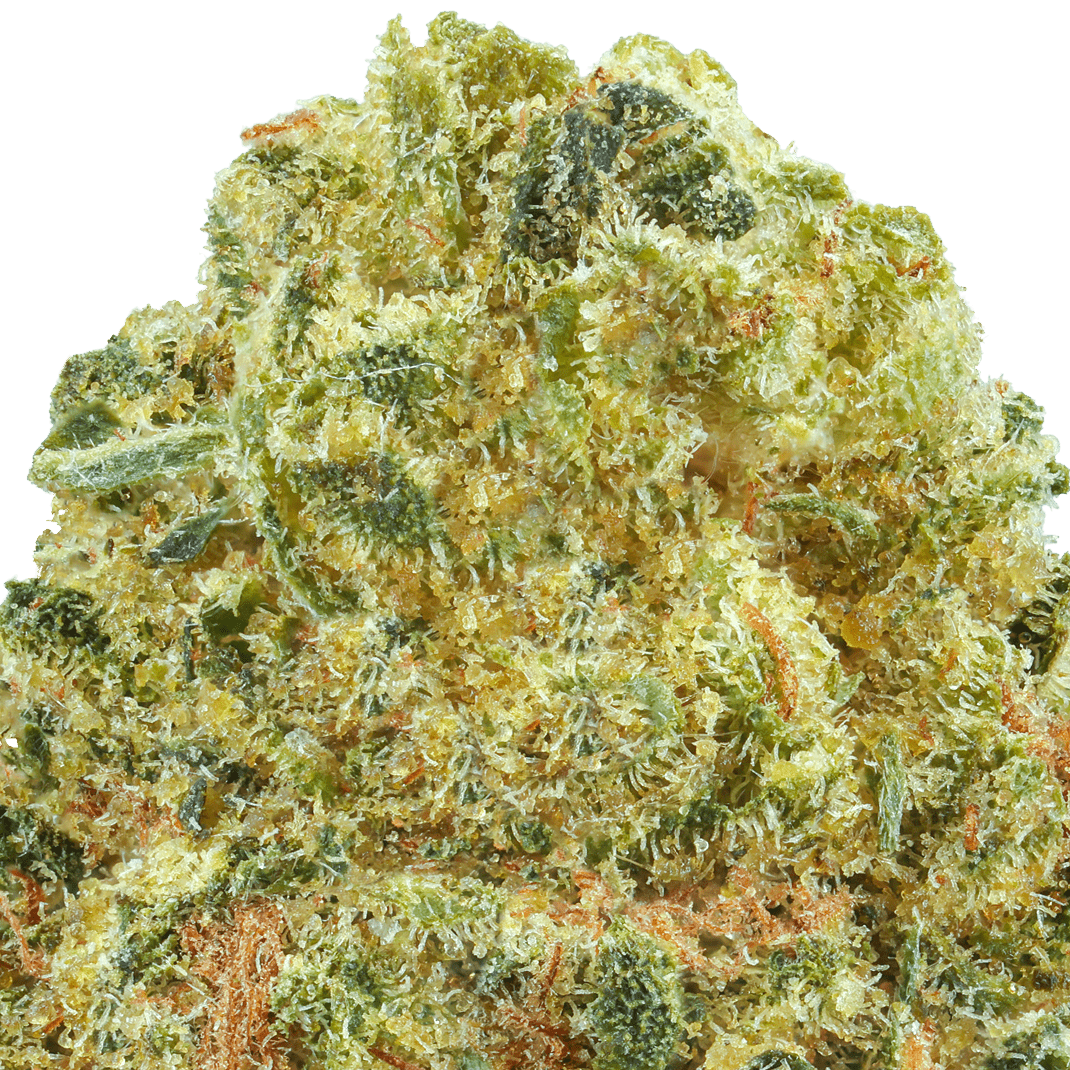 Ice Cream Pie Strain