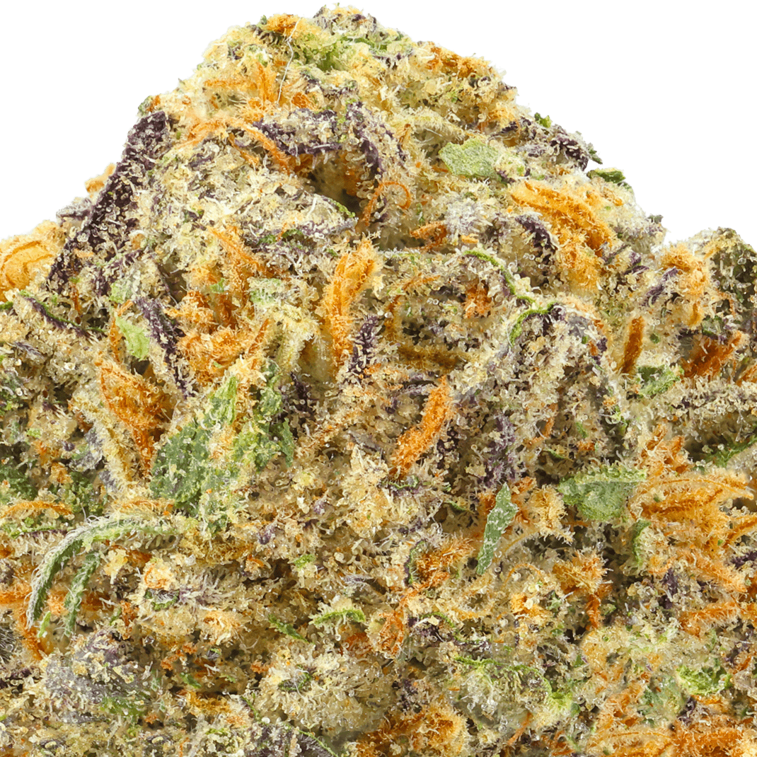 MAC 1 Strain