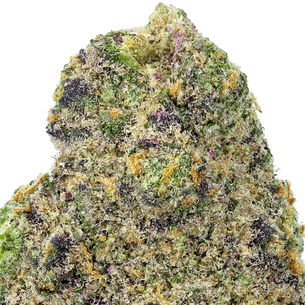 Purple Punch Strain