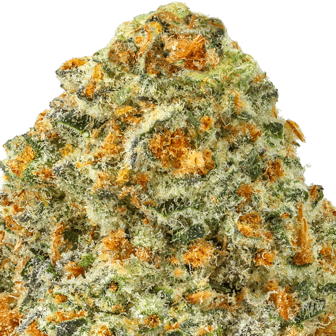 Strawnana Strain
