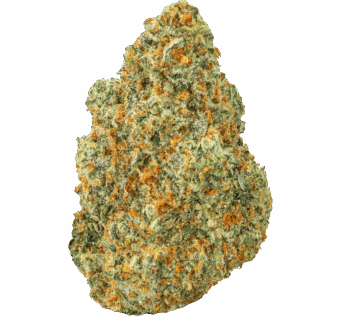 Shop By Effect 25 Strawnana Strain min 2