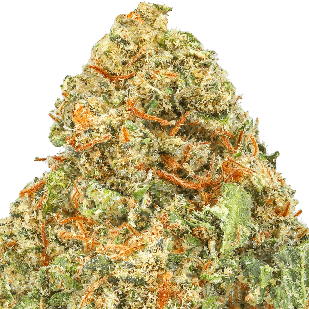 Super Lemon Haze Strain