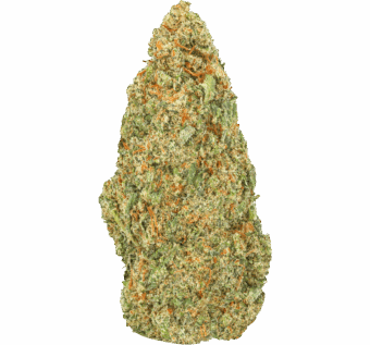 Super-Lemon-Haze-Strain-min (5) Super Lemon Haze Strain