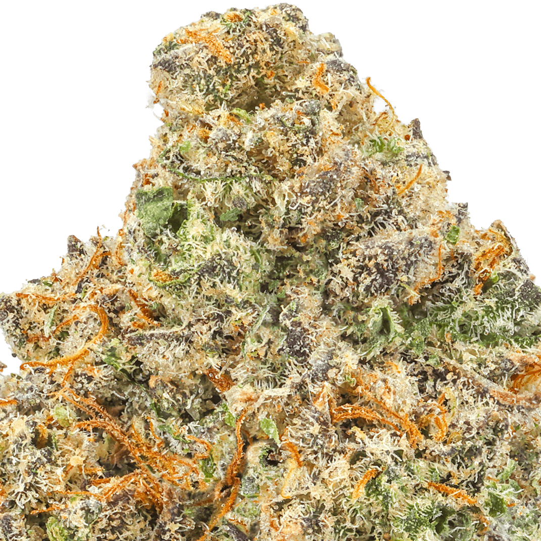 White Fire OG Strain