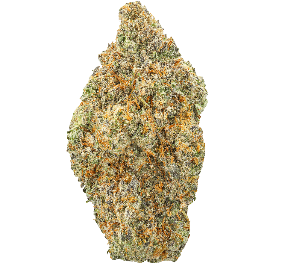 White Fire OG Strain