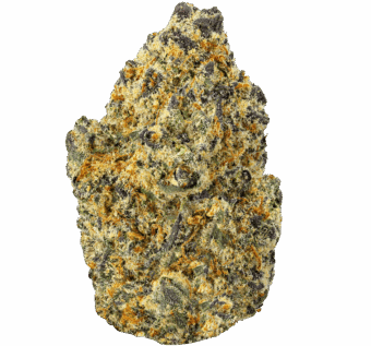 White-Guava-Strain-min White Guava Strain