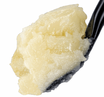 Banana Punch THCA Live Rosin