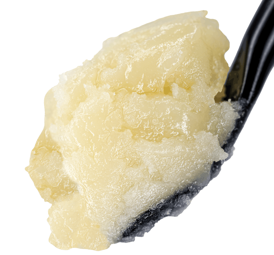 Banana Punch THCA Live Rosin