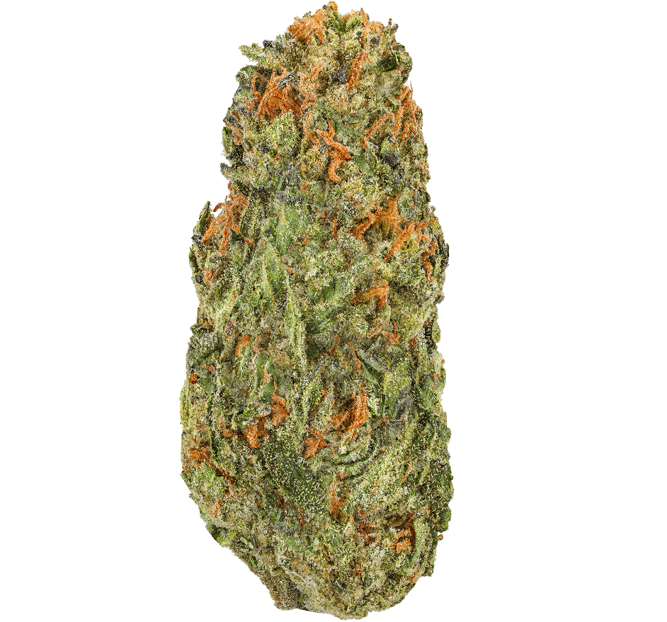 Blue-Dream-Strain (1) Blue Dream Strain