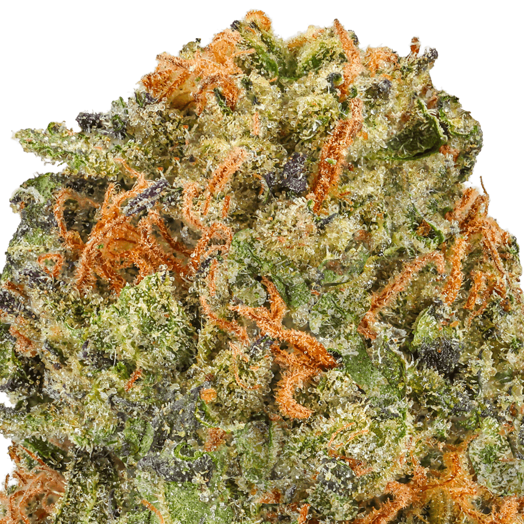 Blue-Dream-Strain-Macro (2) Blue Dream Strain