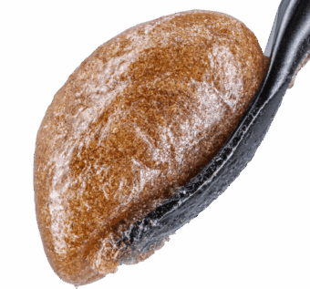 Alien OG THCA Bubble Hash