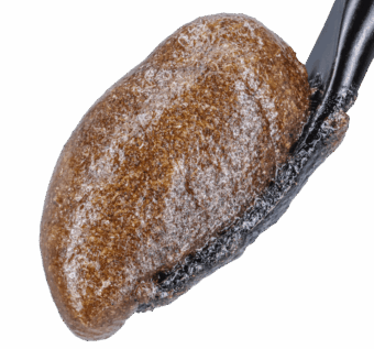 L'Orange THCA Bubble Hash