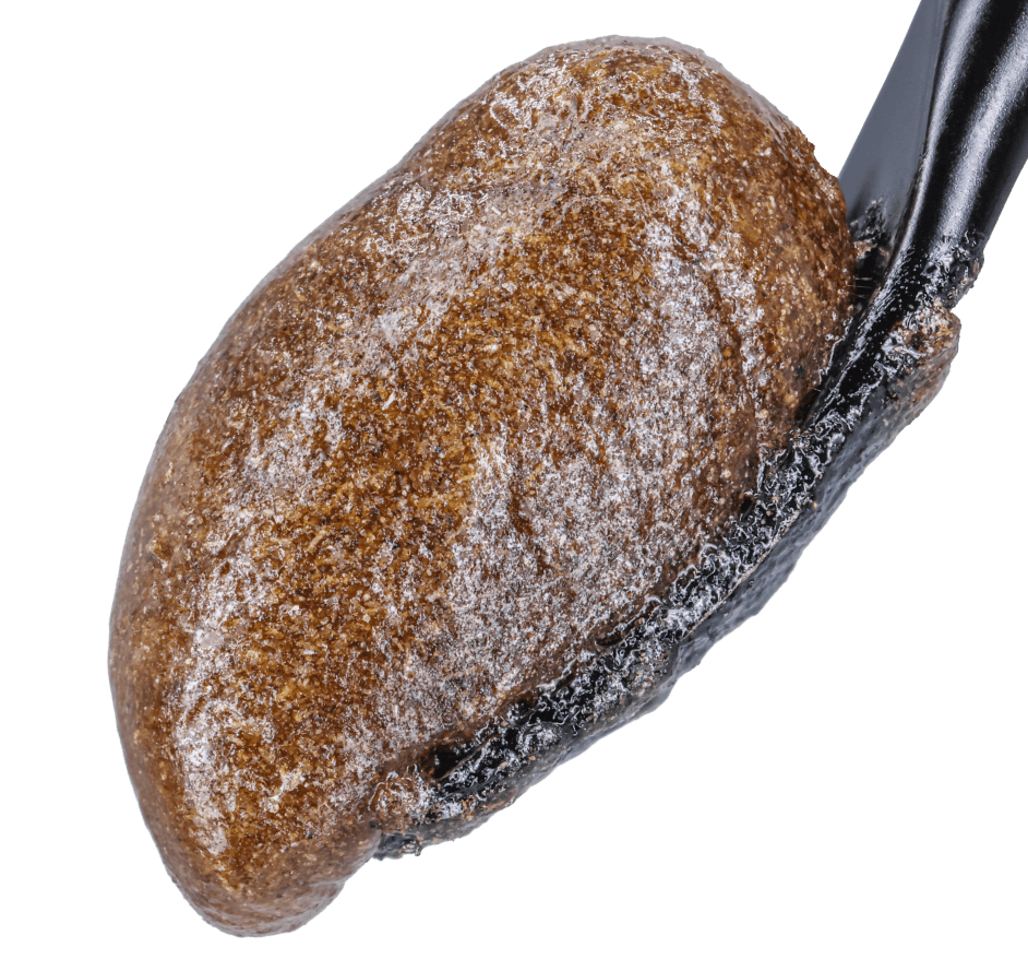 Bubble-Hash-L'Orange-Strain L'Orange THCA Bubble Hash