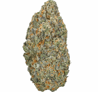 Candy-Apple-Strain Candy Apple Strain