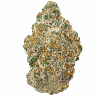 Crunch Berries Strain