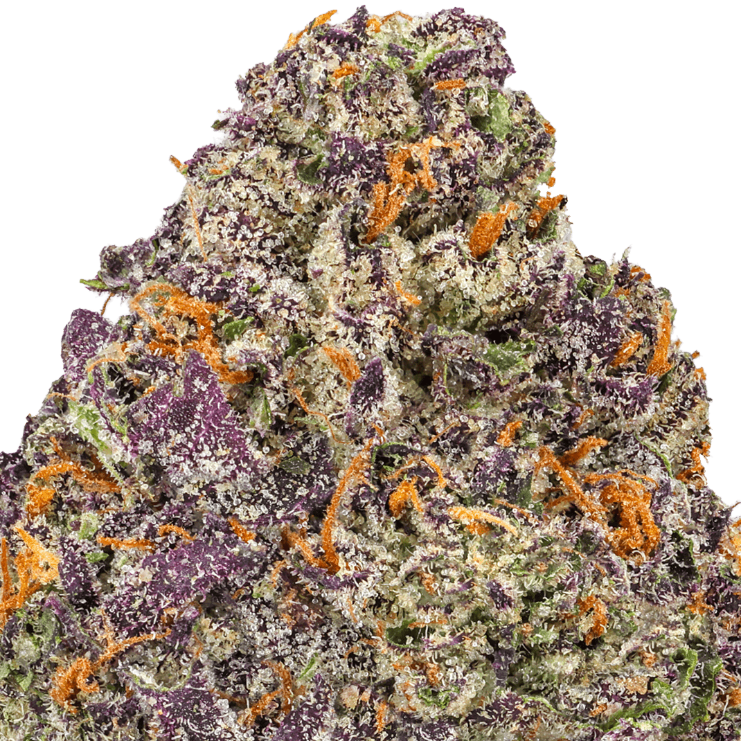 Ice Cream Cookies Strain