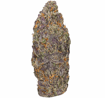 Ice Cream Cookies Strain