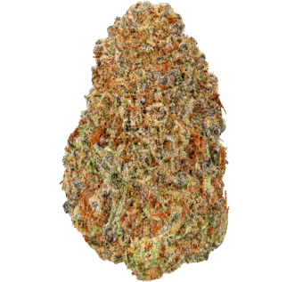 Illuminati Strain
