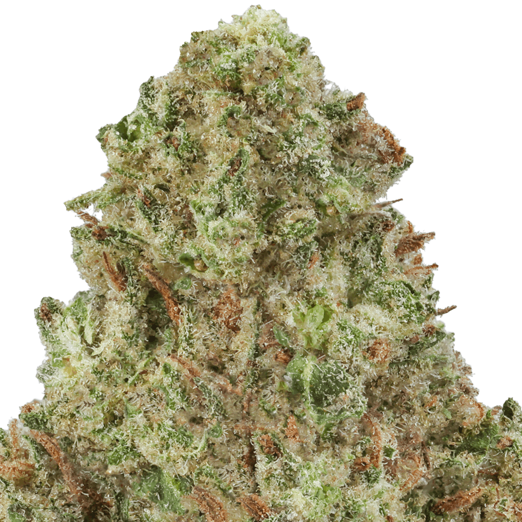 Jager Sour Diesel Strain