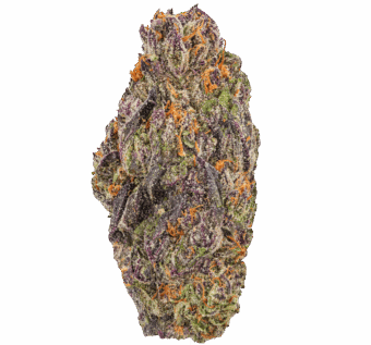 Lemon Cherry Gelato Strain