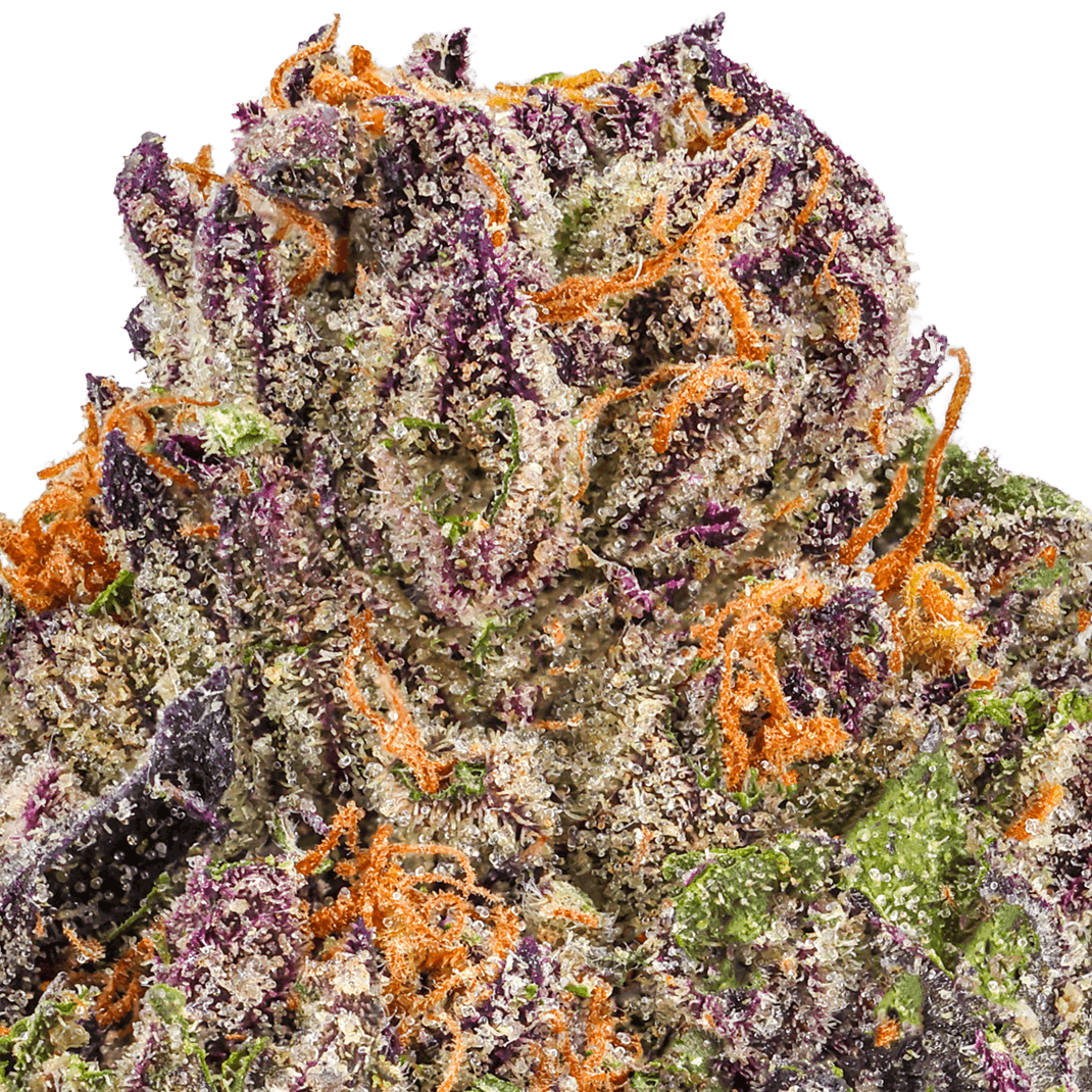 Lemon Cherry Gelato Strain