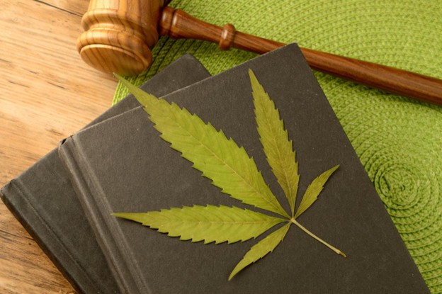 A conceptual image focused on the legal information of THCA using books and a gavel and weed leaf to illustrate this idea.